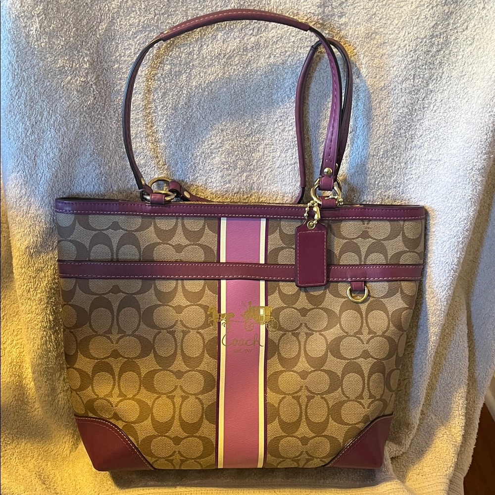 Coach Signature Stripe Tote - Brown and Purple